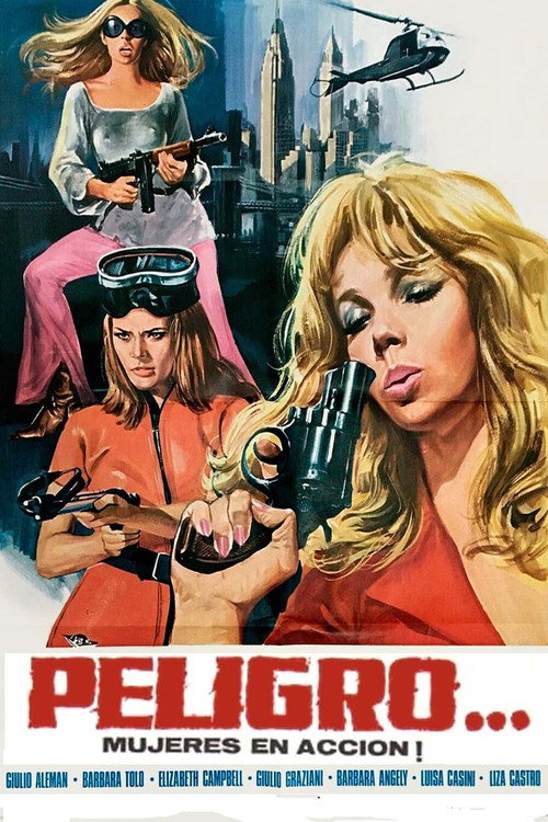 Danger...! Women in Action (1969) movie poster