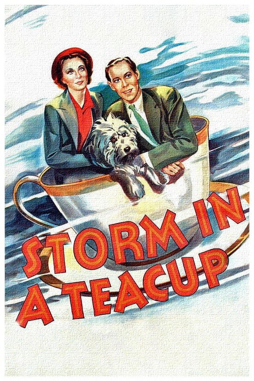 Storm in a Teacup (1937) movie poster