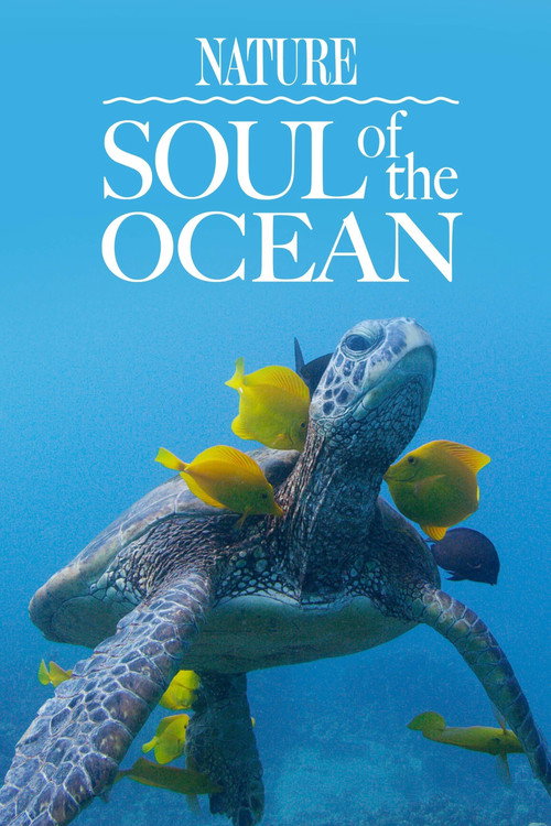Soul of the Ocean (2022) movie poster