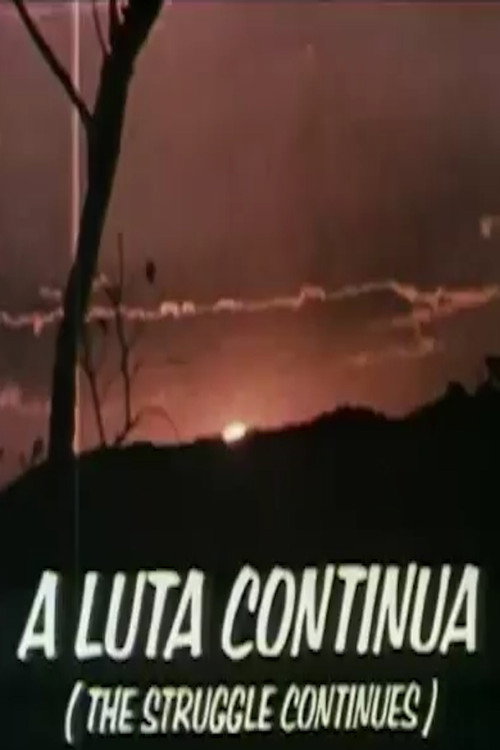 The Struggle Continues (1971) movie poster