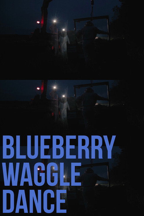 Blueberry Waggle Dance (2024) movie poster