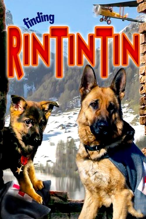 Finding Rin Tin Tin (2007) movie poster