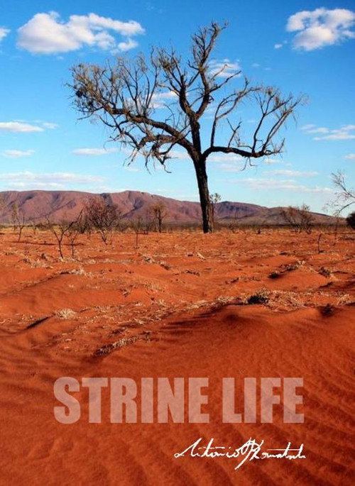 Strine Life (2016) movie poster