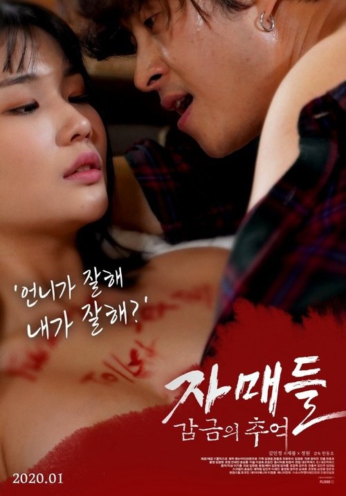 Sisters: Memories of Confinement (2020) movie poster