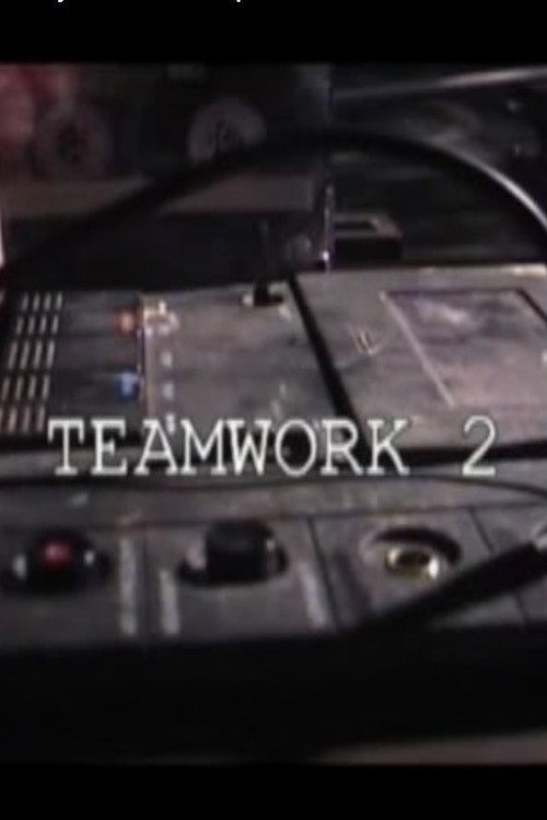 Teamwork 2 (2003) movie poster