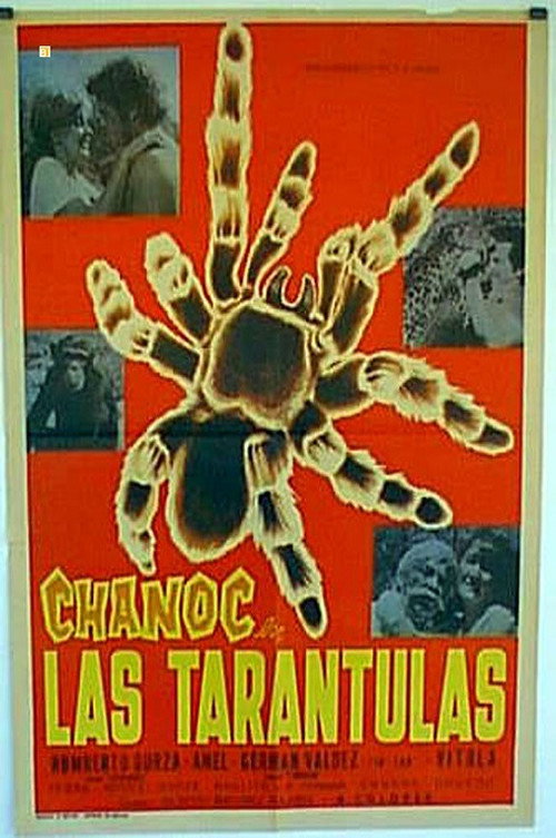 Las tarántulas (1973) movie poster