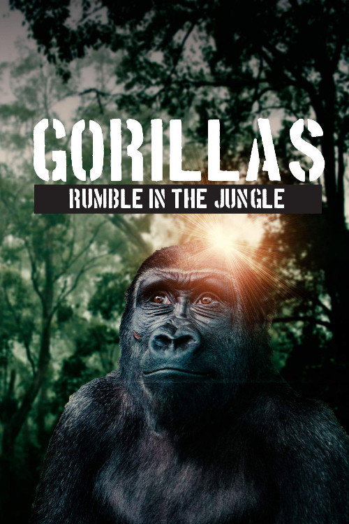 Gorillas: Rumble in the Jungle (2020) movie poster