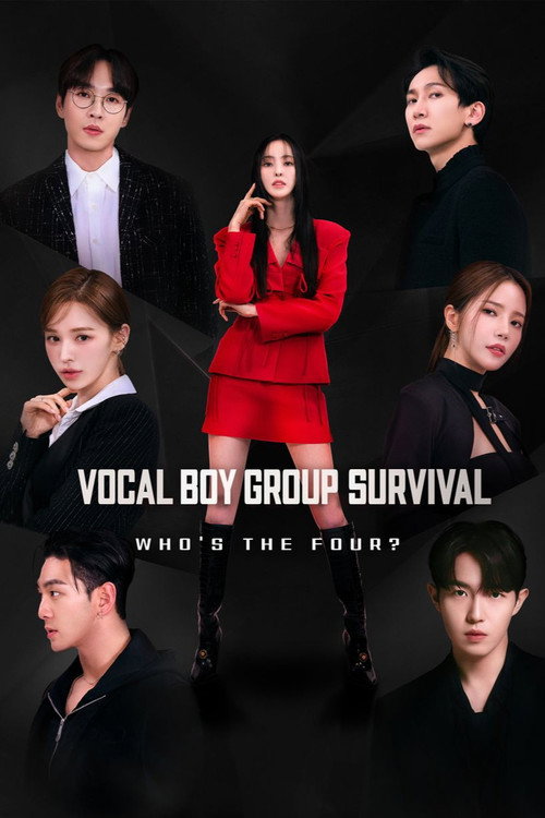 Build Up: Vocal Boy Group Survival (2024) TV show poster