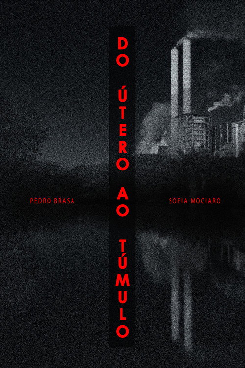 Do Útero Ao Túmulo (2022) movie poster