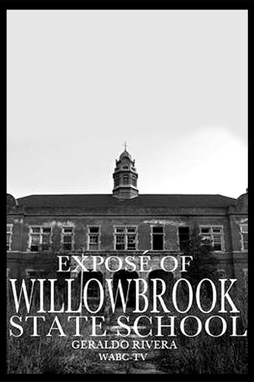 Willowbrook: The Last Great Disgrace (1972) movie poster