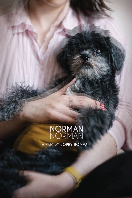 Norman Norman (2018) movie poster