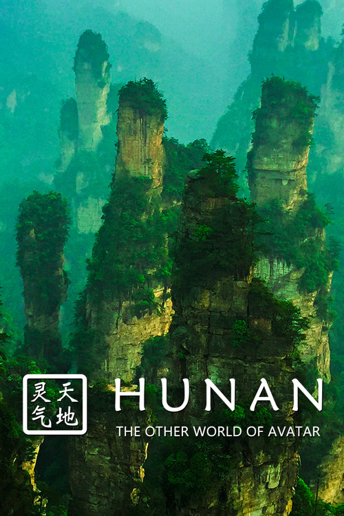 Hunan: The Other World of Avatar (2015) movie poster