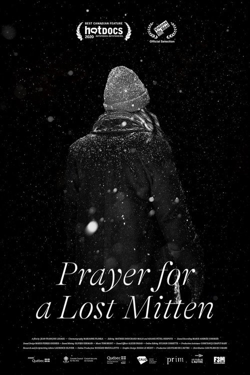 Prayer for a Lost Mitten (2020) movie poster