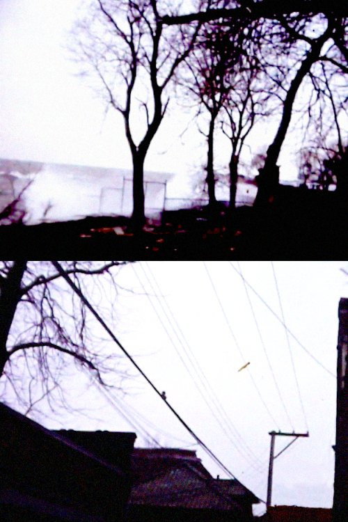 Cold Day with Chuck (1984) movie poster