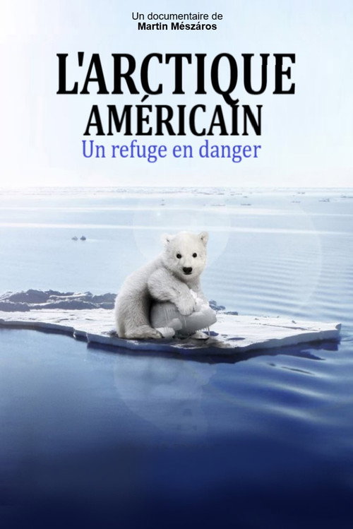 Arctic (2020) movie poster