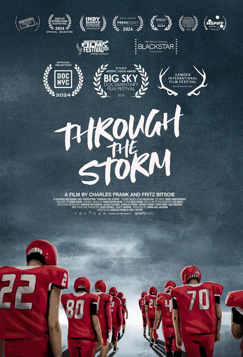 Through the Storm (2024) movie poster