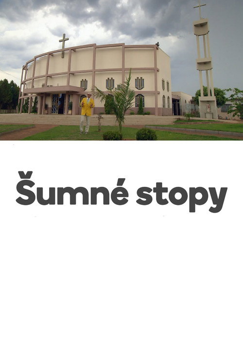 Šumné stopy (2011) TV show poster