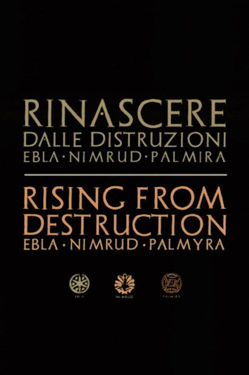 Palmyra: Rising from the Ashes (2017) movie poster