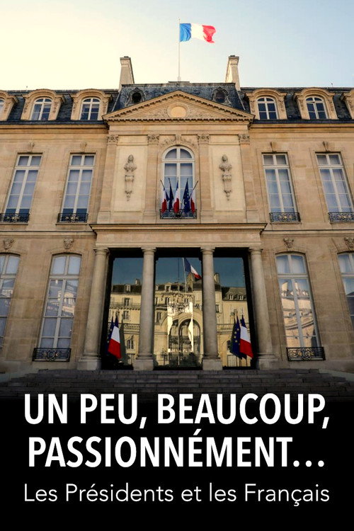 Un peu, beaucoup, passionnément... Les Présidents et les Français (2019) movie poster