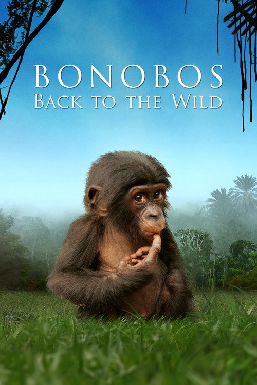 Bonobos: Back to the Wild (2011) movie poster