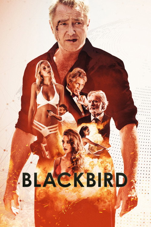 Blackbird (2022) movie poster