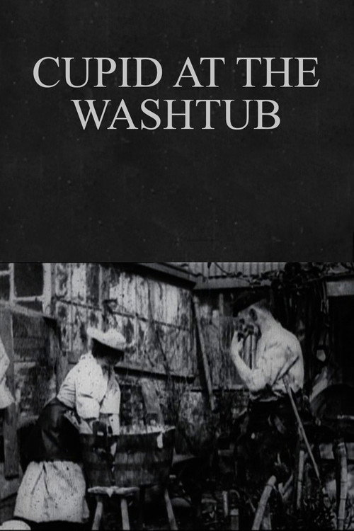 Cupid at the Washtub (1897) movie poster