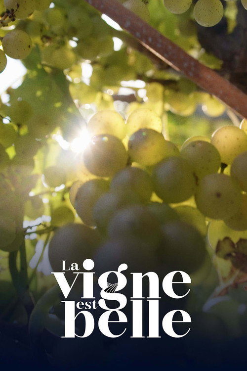 La vigne est belle (2022) TV show poster