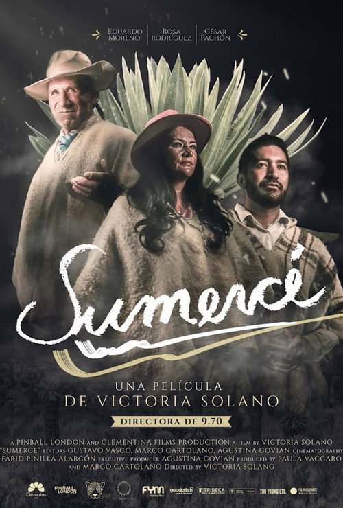 Sumercé (2019) movie poster