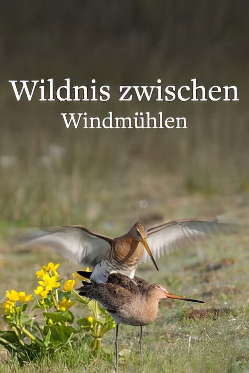 Wildlife in Windmill Country (2025) movie poster