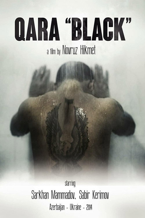 Black (2014) movie poster