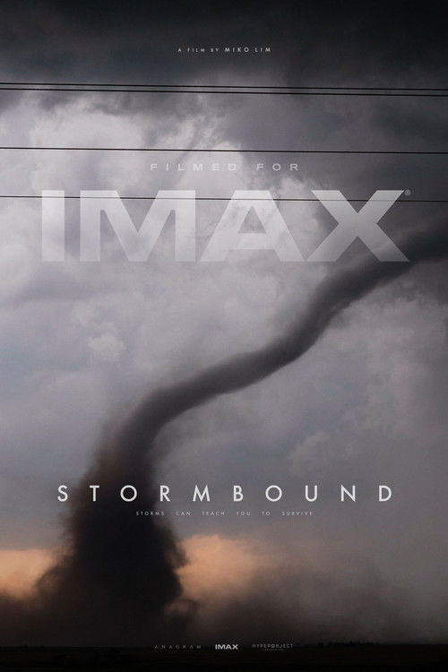 Stormbound (2026) movie poster