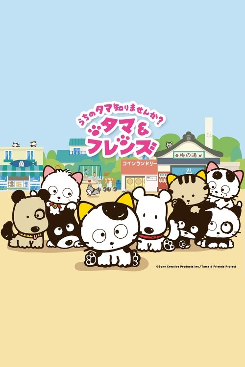Tama and Friends: Have You Seen My Tama? (2016) TV show poster