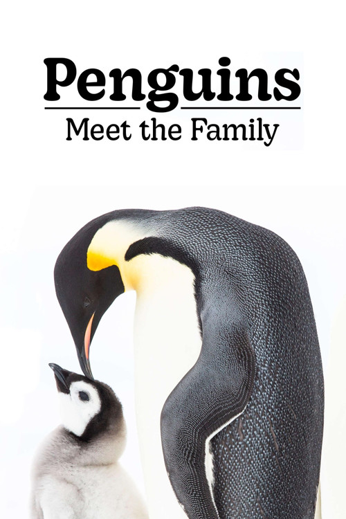 Penguins: Meet the Family (2020) movie poster