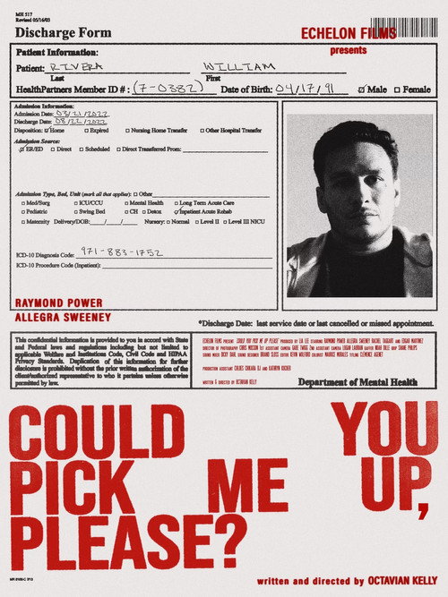Could You Pick Me Up, Please? movie poster