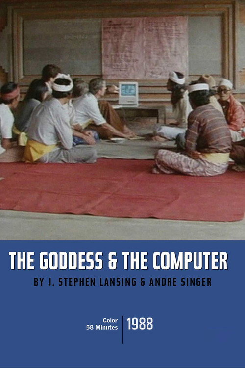 The Goddess and the Computer (1988) movie poster