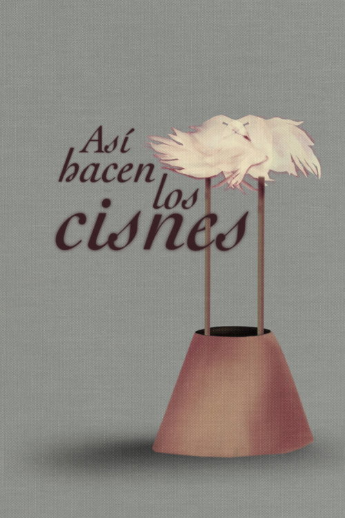 Así hacen los cisnes (2025) movie poster