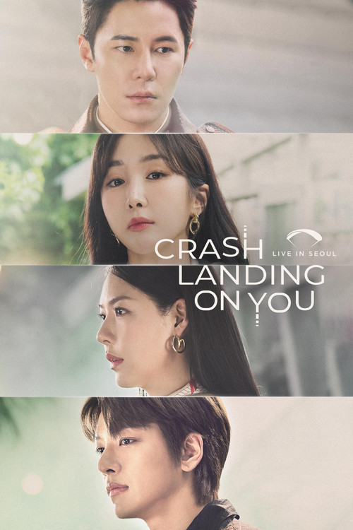 Crash Landing On You: Live in Seoul (2023) movie poster
