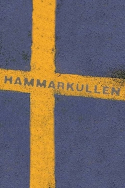 Hammarkullen (1997) TV show poster