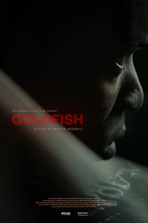 Goldfish (2019) movie poster