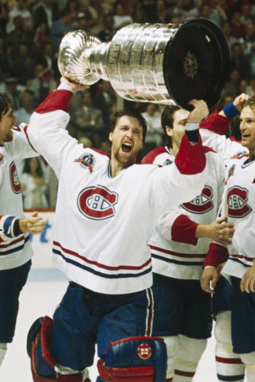 La Coupe Stanley à Montréal en 1993 (2008) movie poster