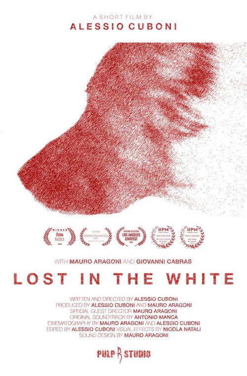 Lost in the White (2017) movie poster