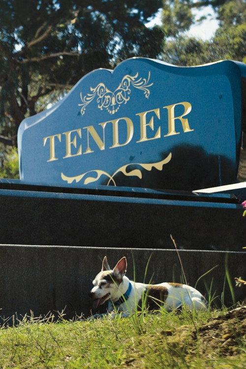 Tender (2014) movie poster