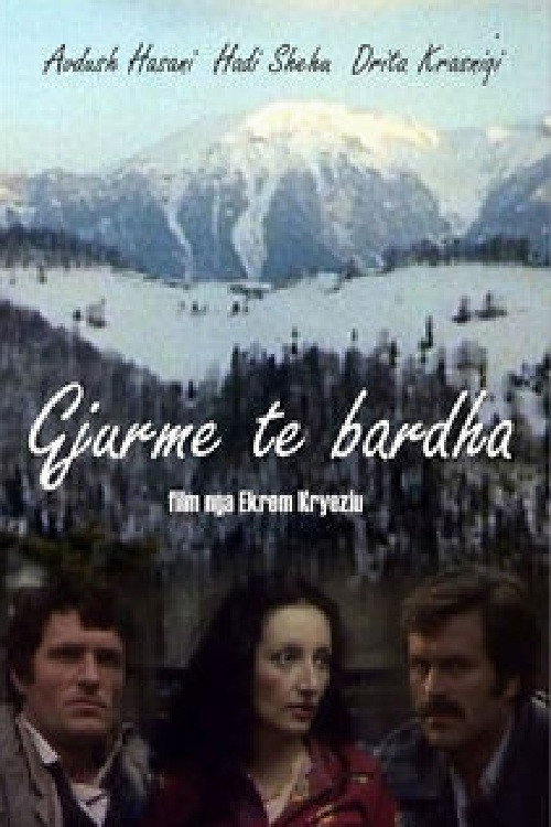 The White Traces (1980) movie poster