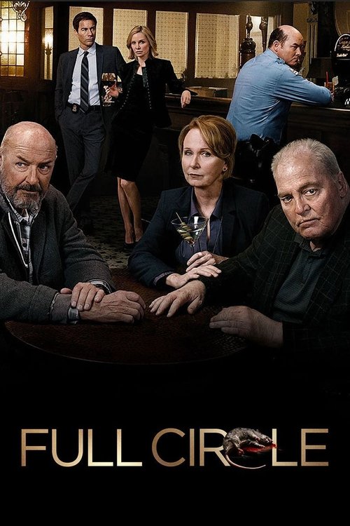 Full Circle (2013) TV show poster