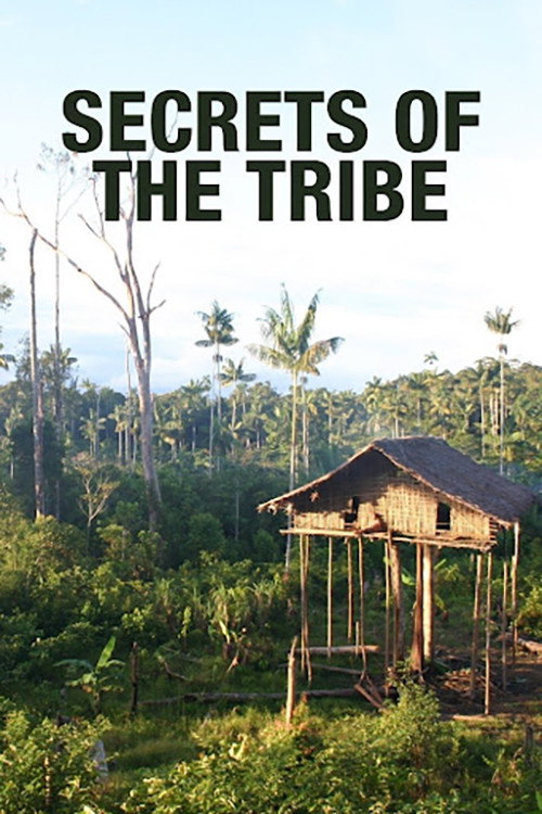 Secrets of the Tribe (2010) movie poster