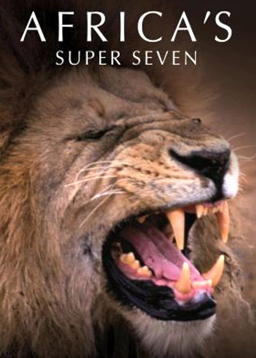 Africa's Super Seven (2005) movie poster