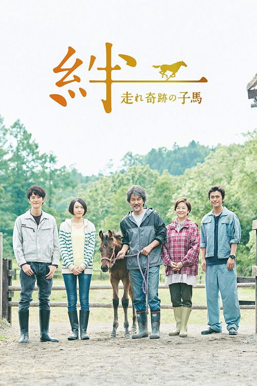 Ties: A Miraculous Colt (2017) TV show poster