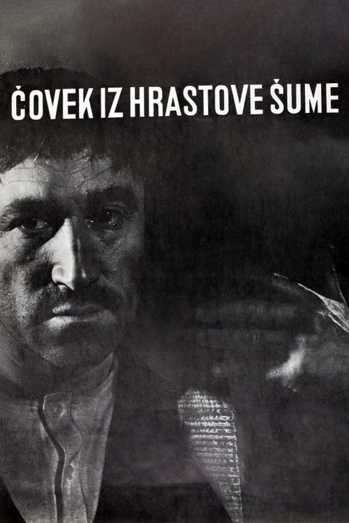 The Man from the Oak Forest (1964) movie poster