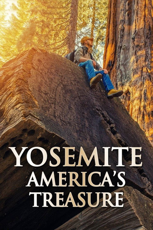 Yosemite: America's Treasure (2020) movie poster