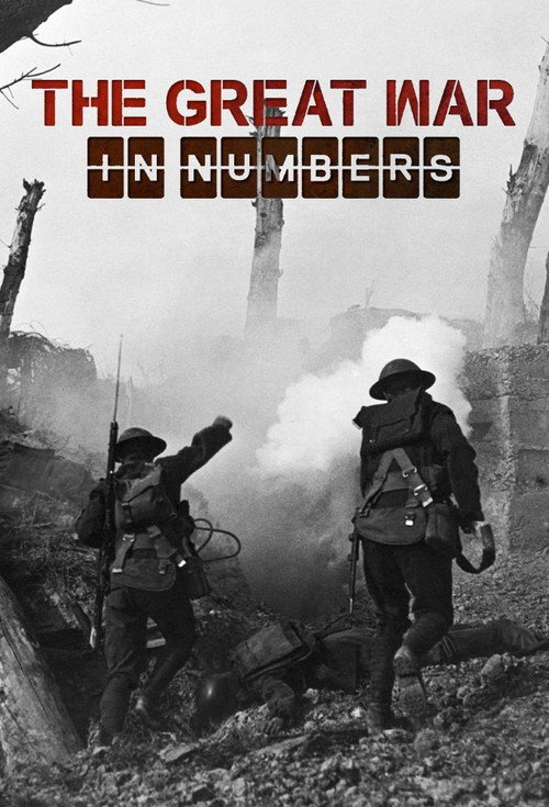 The Great War in Numbers (2017) TV show poster